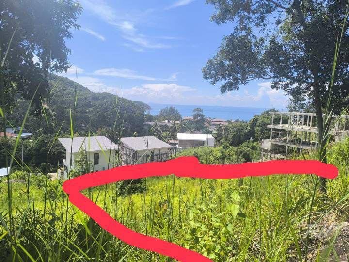 Land For Sale Mae Haad (Koh Ma) (RW-0589) — photo 6
