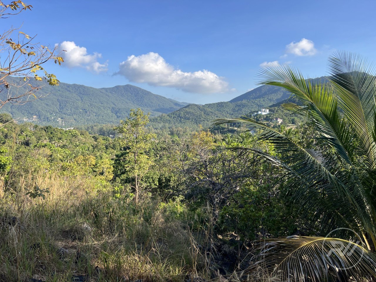 Land plot in Chaloklum (RW-L0001) — photo 12