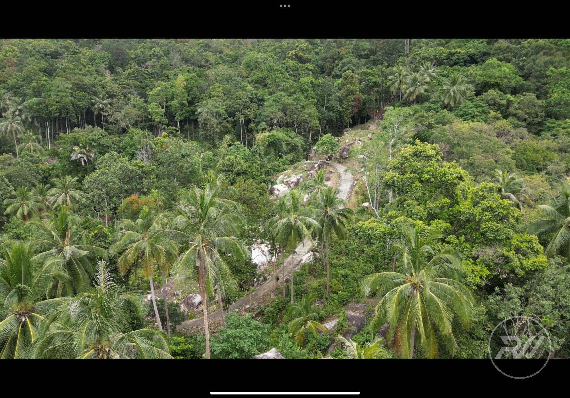 Land plot on Koh Phangan (RW-L0006) — photo 9