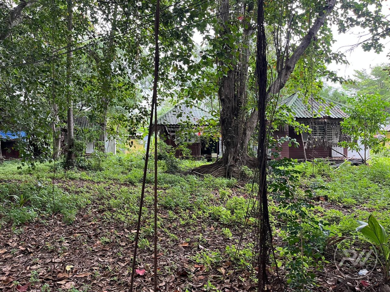 Land plot on Koh Phangan