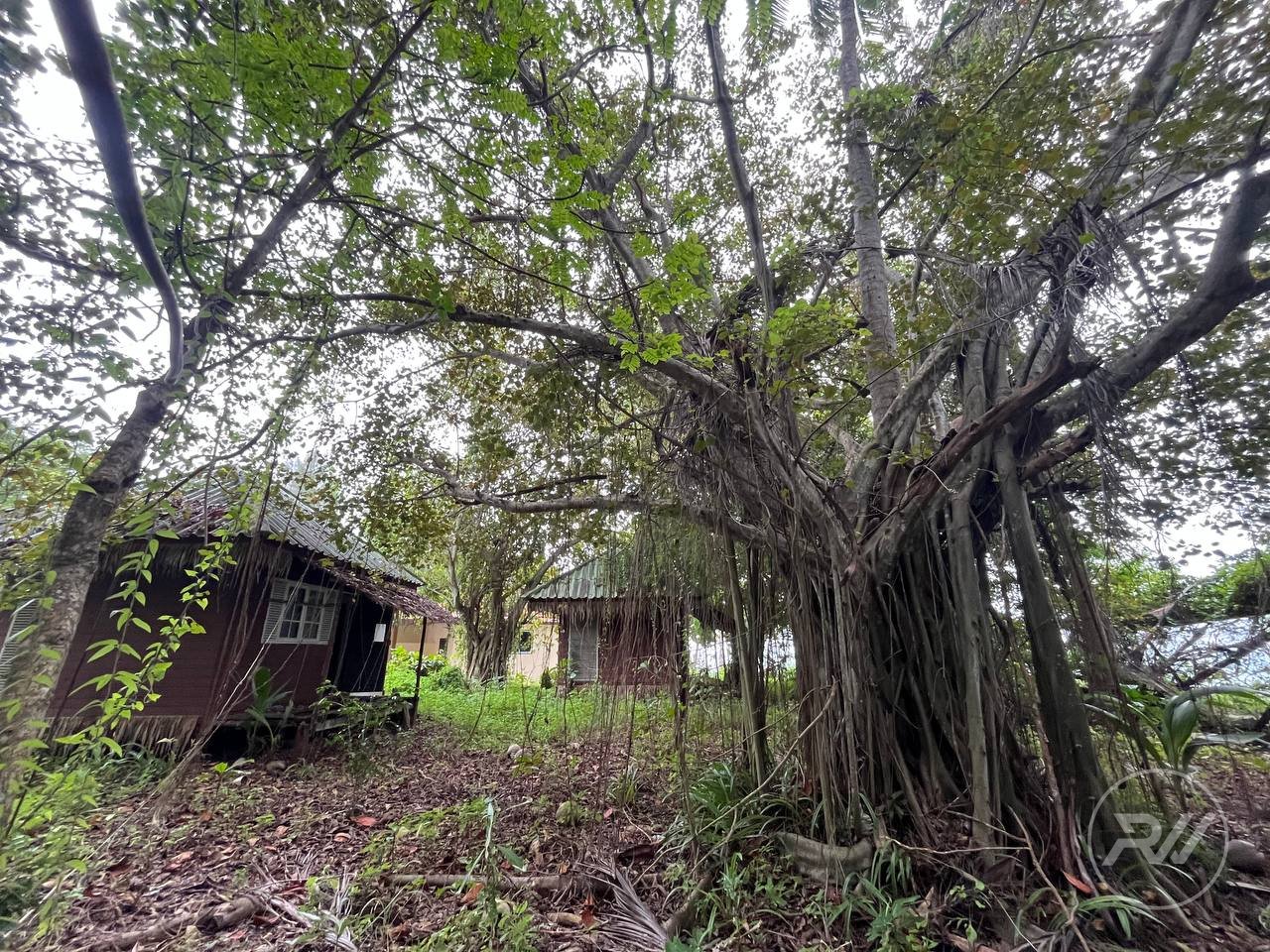 Land plot on Koh Phangan (RW-L0012) — photo 5