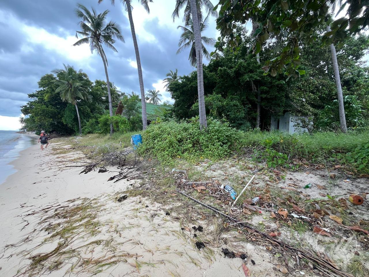 Land plot on Koh Phangan (RW-L0012) — photo 7