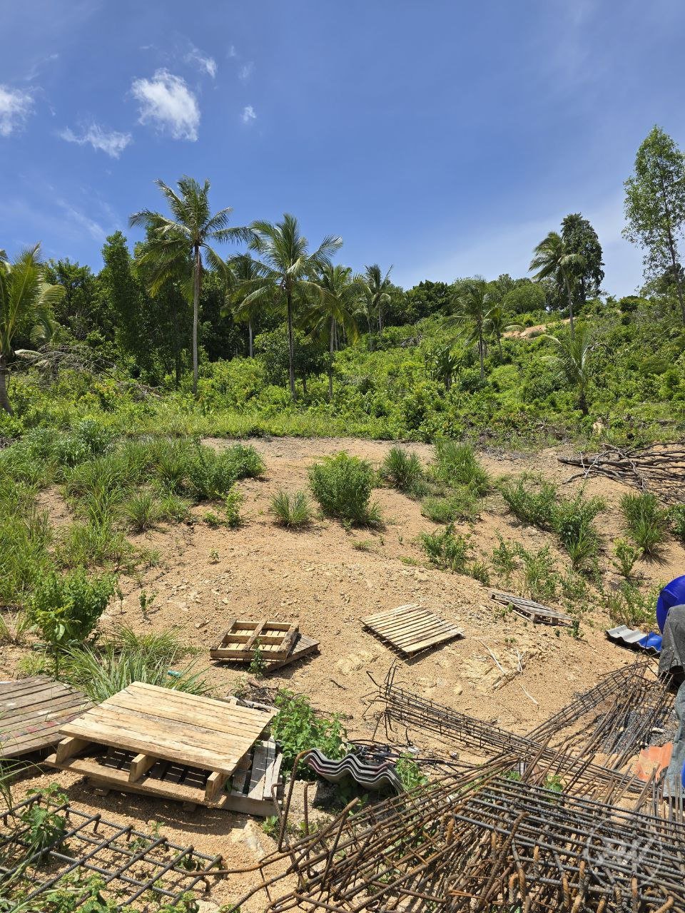 Land plot in Chaloklum (RW-L0014) — photo 5