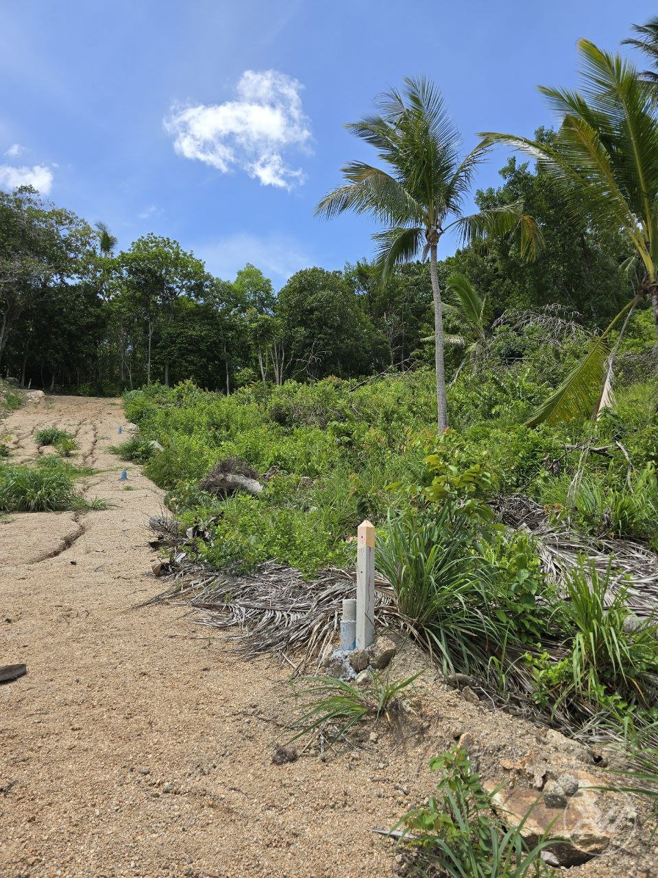 Land plot in Chaloklum (RW-L0014) — photo 6