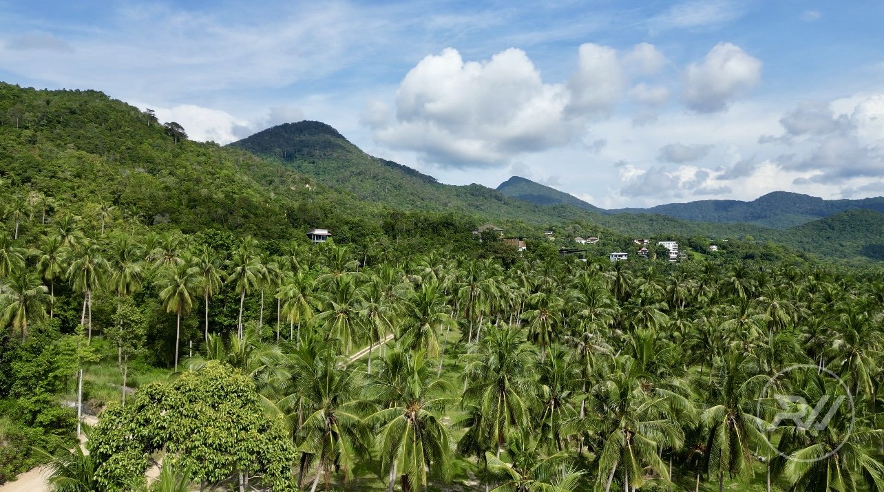 Land plot in Srithanu (RW-L0016) — photo 3
