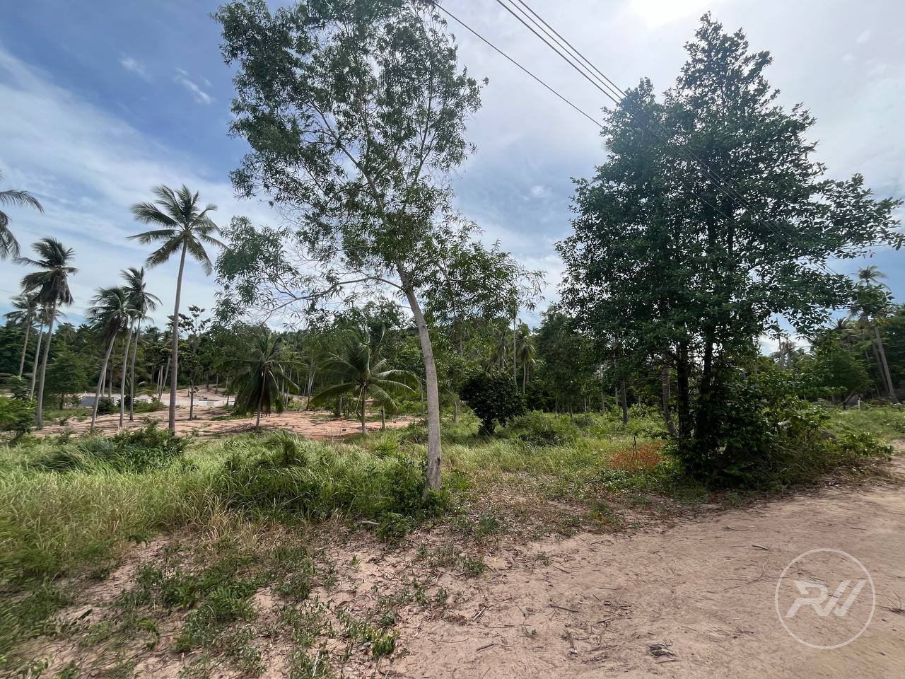 Land plot on Koh Phangan (RW-L0018) — photo 6