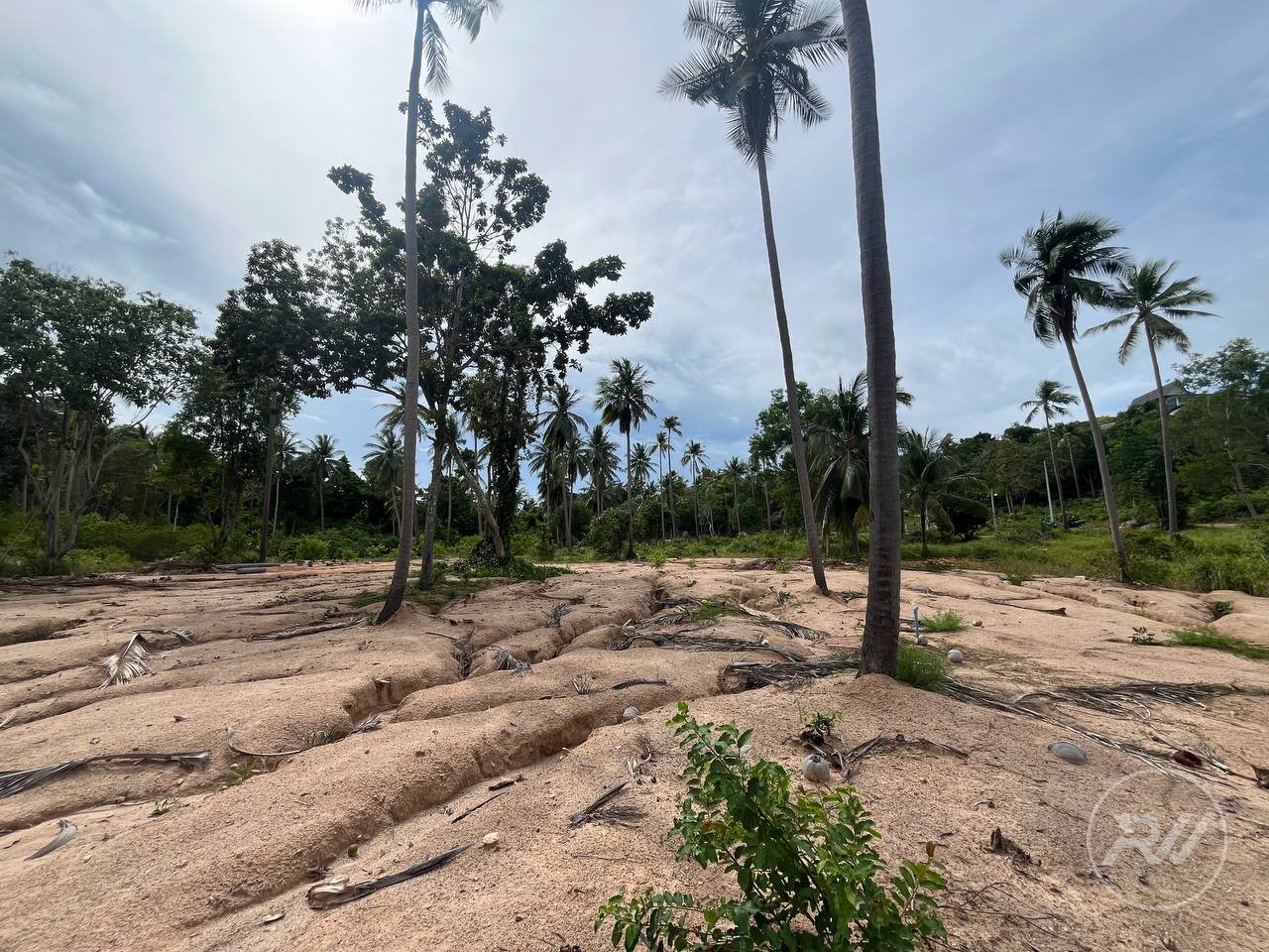 Land plot on Koh Phangan (RW-L0018) — photo 7