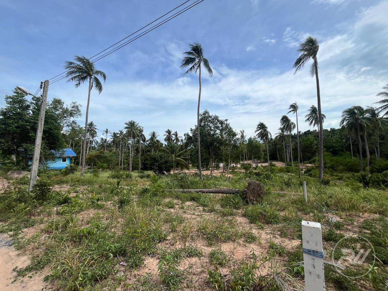 Land plot on Koh Phangan (RW-L0018) — photo 8