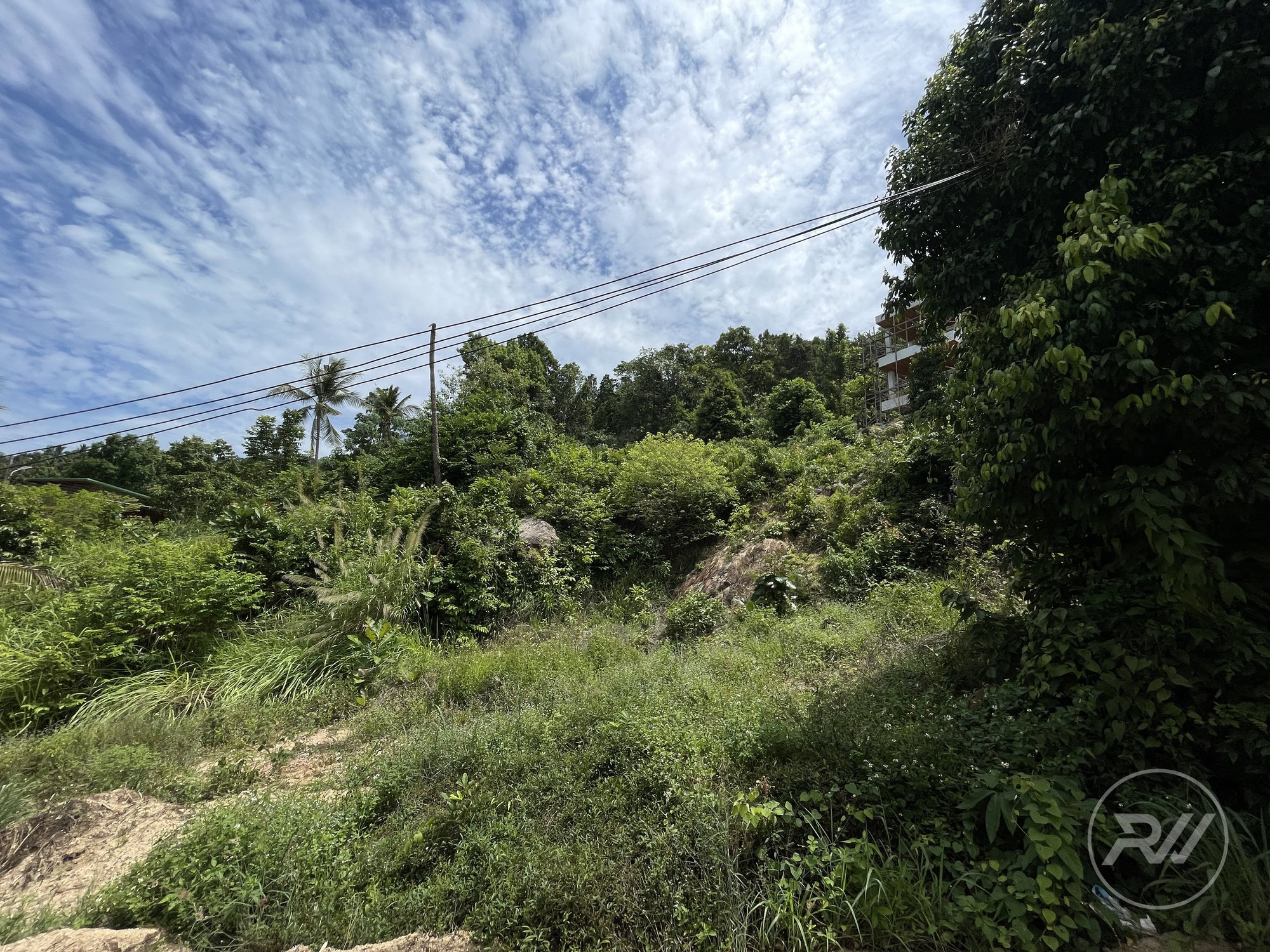 Land plot on Koh Phangan (RW-L0019) — photo 2