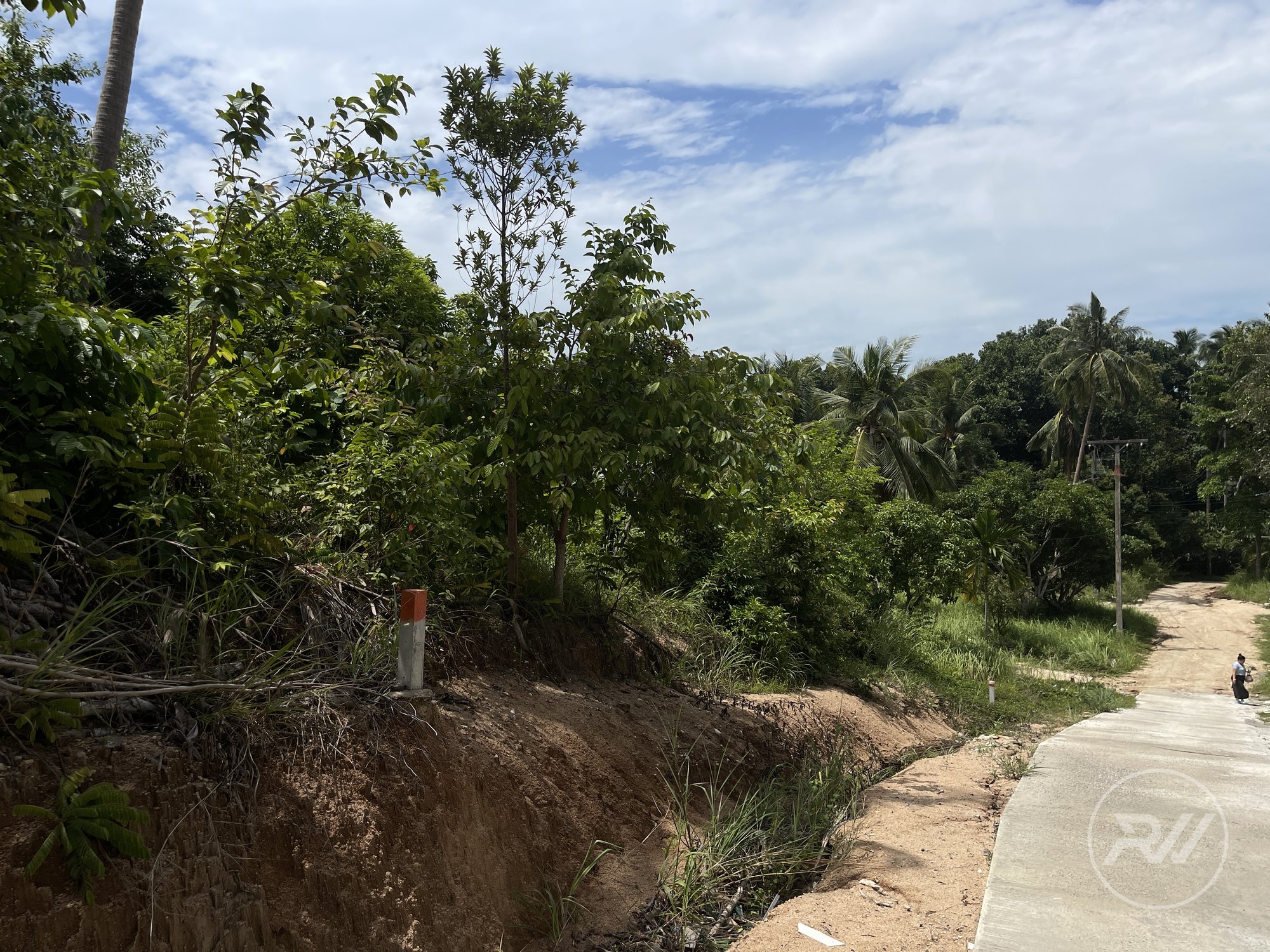 Land plot on Koh Phangan (RW-L0019) — photo 4