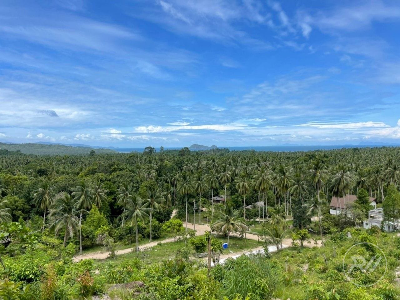 Land plot on Koh Phangan (RW-L0019) — photo 7