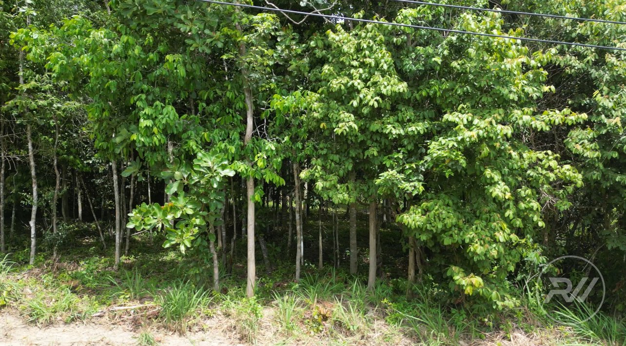 Land plot in Madeau Wan (RW-L0022) — photo 4