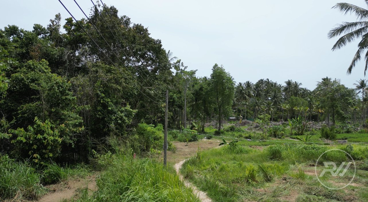 Land plot in Madeau Wan (RW-L0022) — photo 5