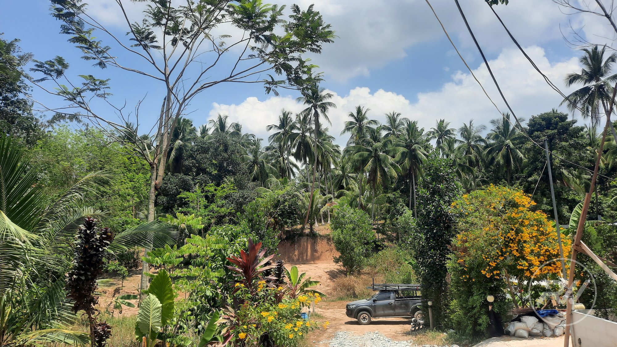 Land plot on Koh Phangan (RW-L0024) — photo 2