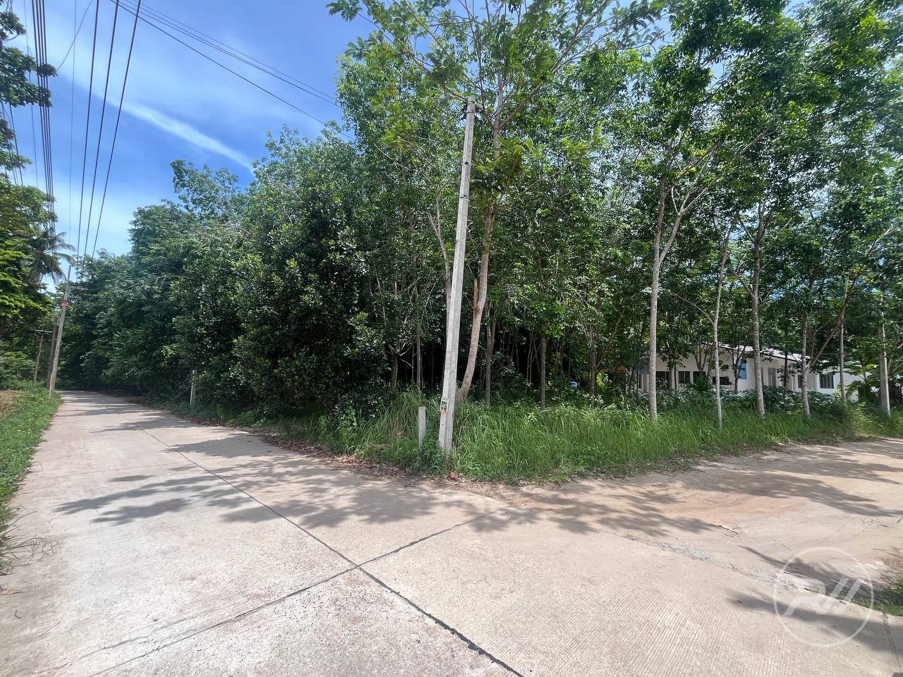 Land plot on Koh Phangan (RW-L0024) — photo 3
