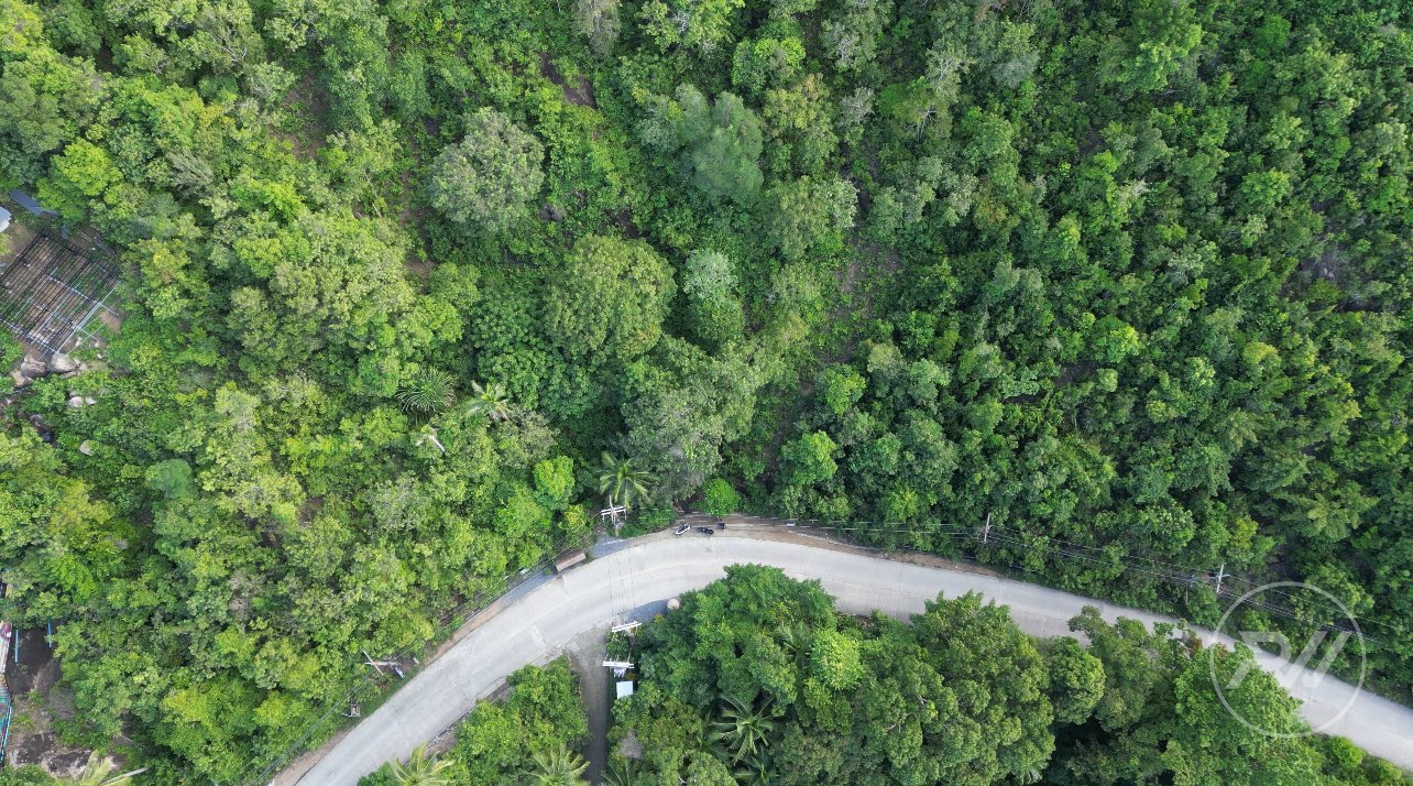 Land plot on Koh Phangan