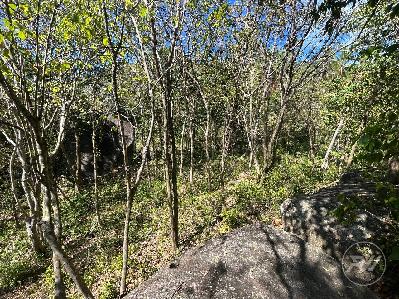 Land plot on Koh Phangan