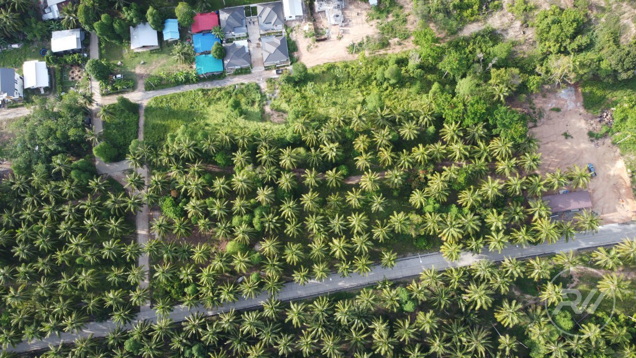 Land plot on Koh Phangan
