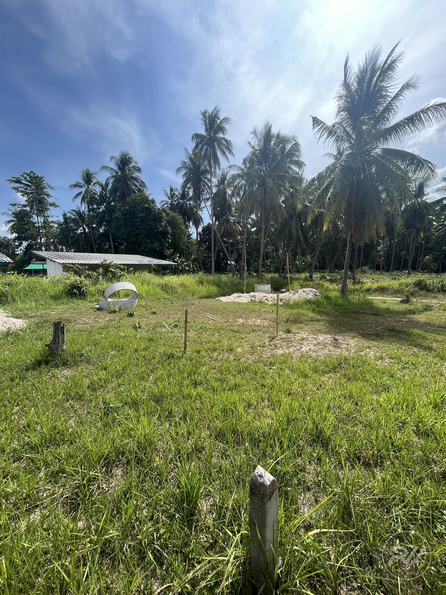 Land plot on Koh Phangan (RW-L0042) — photo 2
