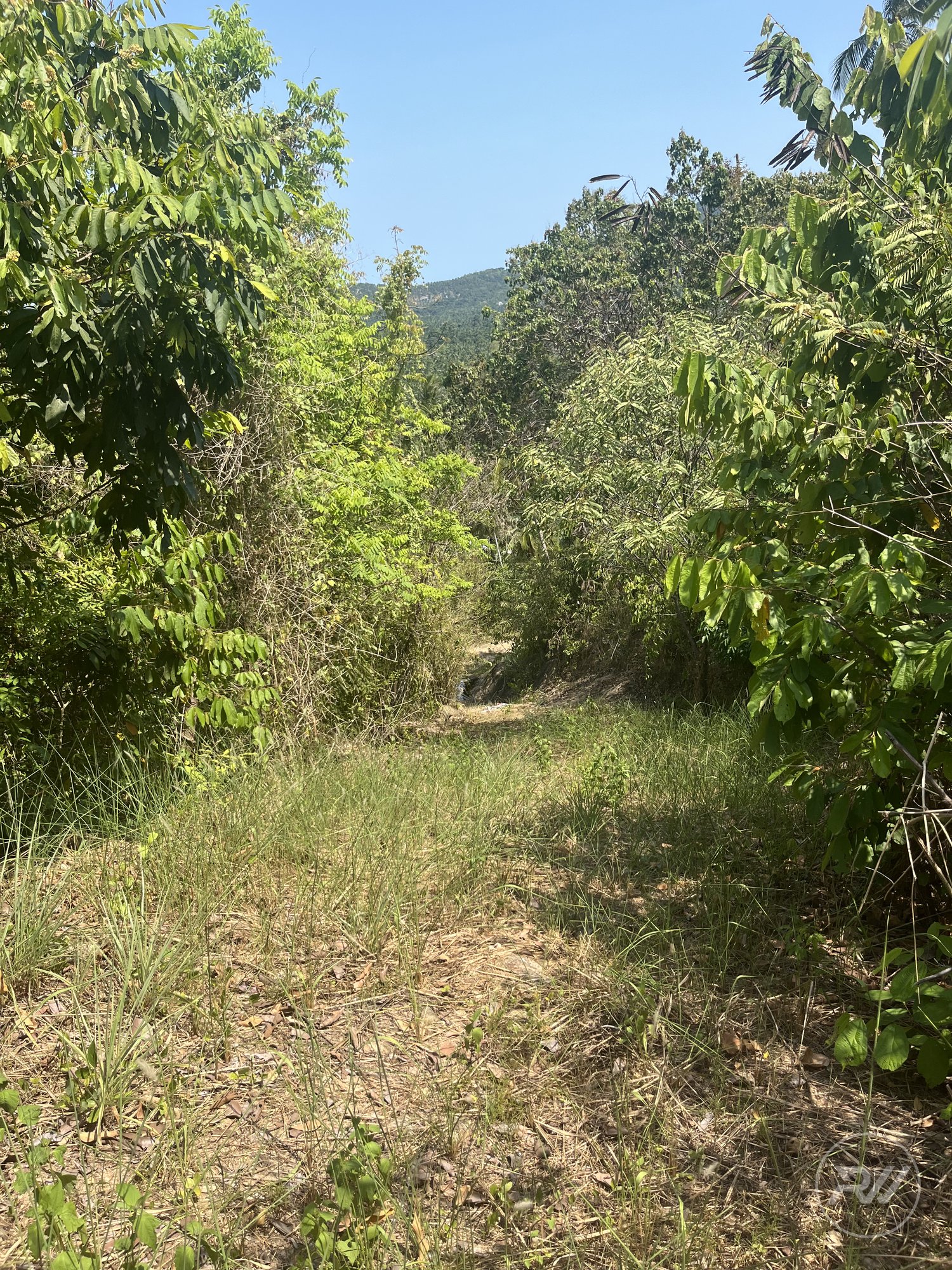 Land plot on Koh Phangan