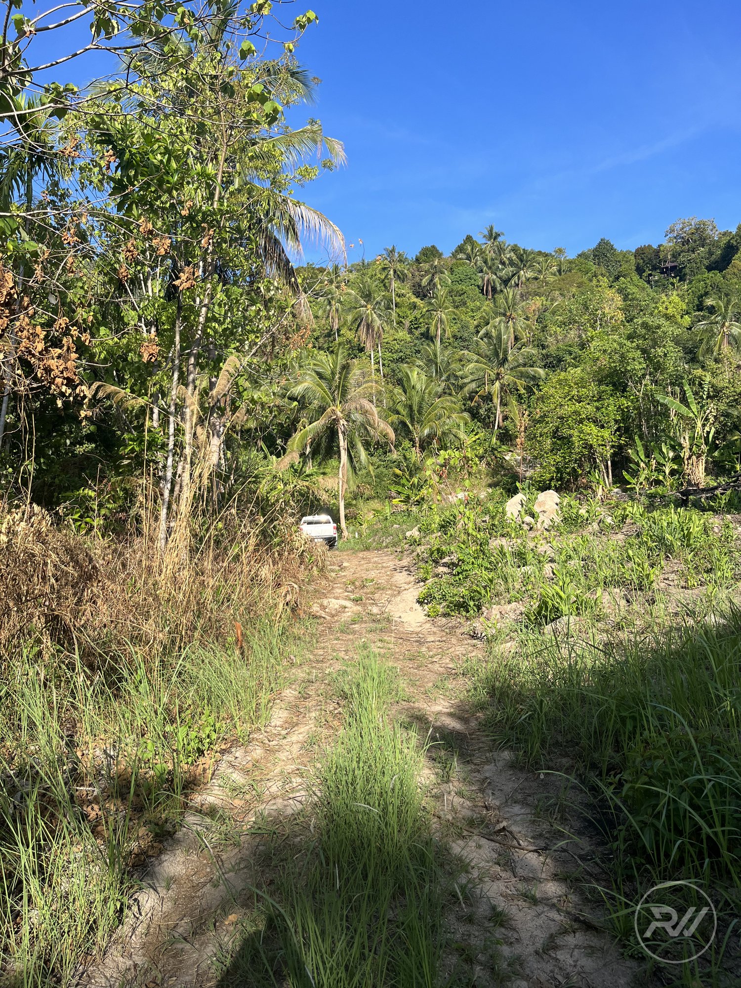 Land plot on Koh Phangan