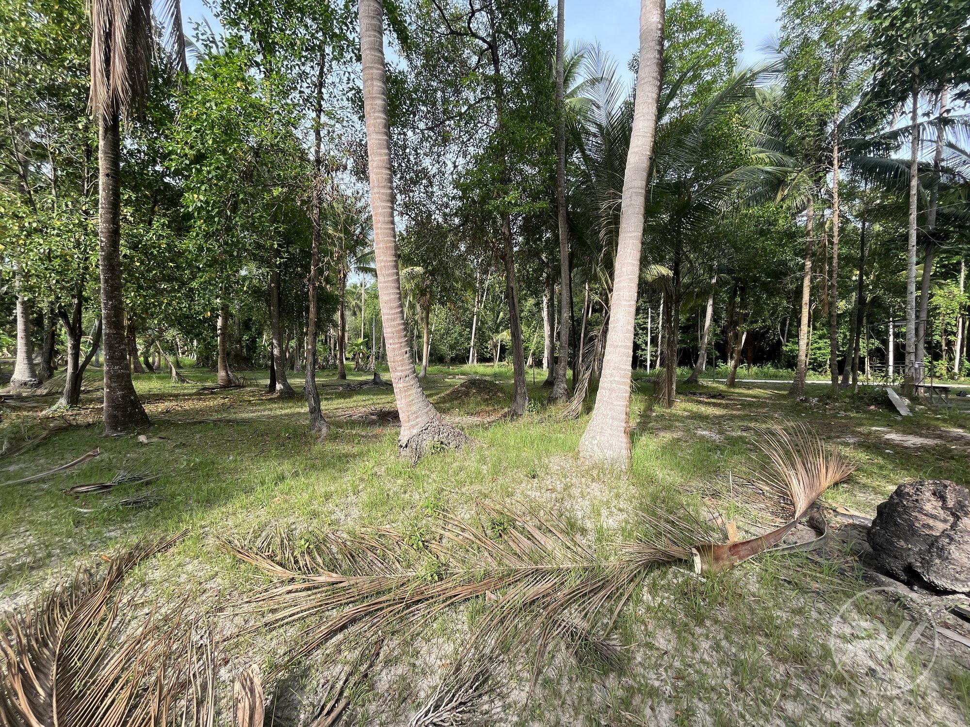 Land plot on Koh Phangan