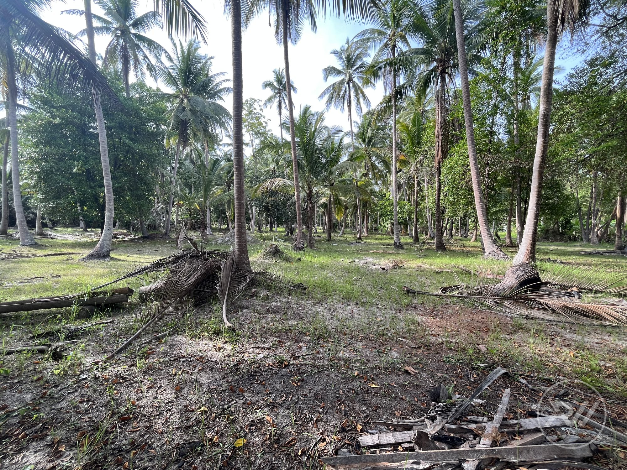Land plot on Koh Phangan (RW-L0050) — photo 2