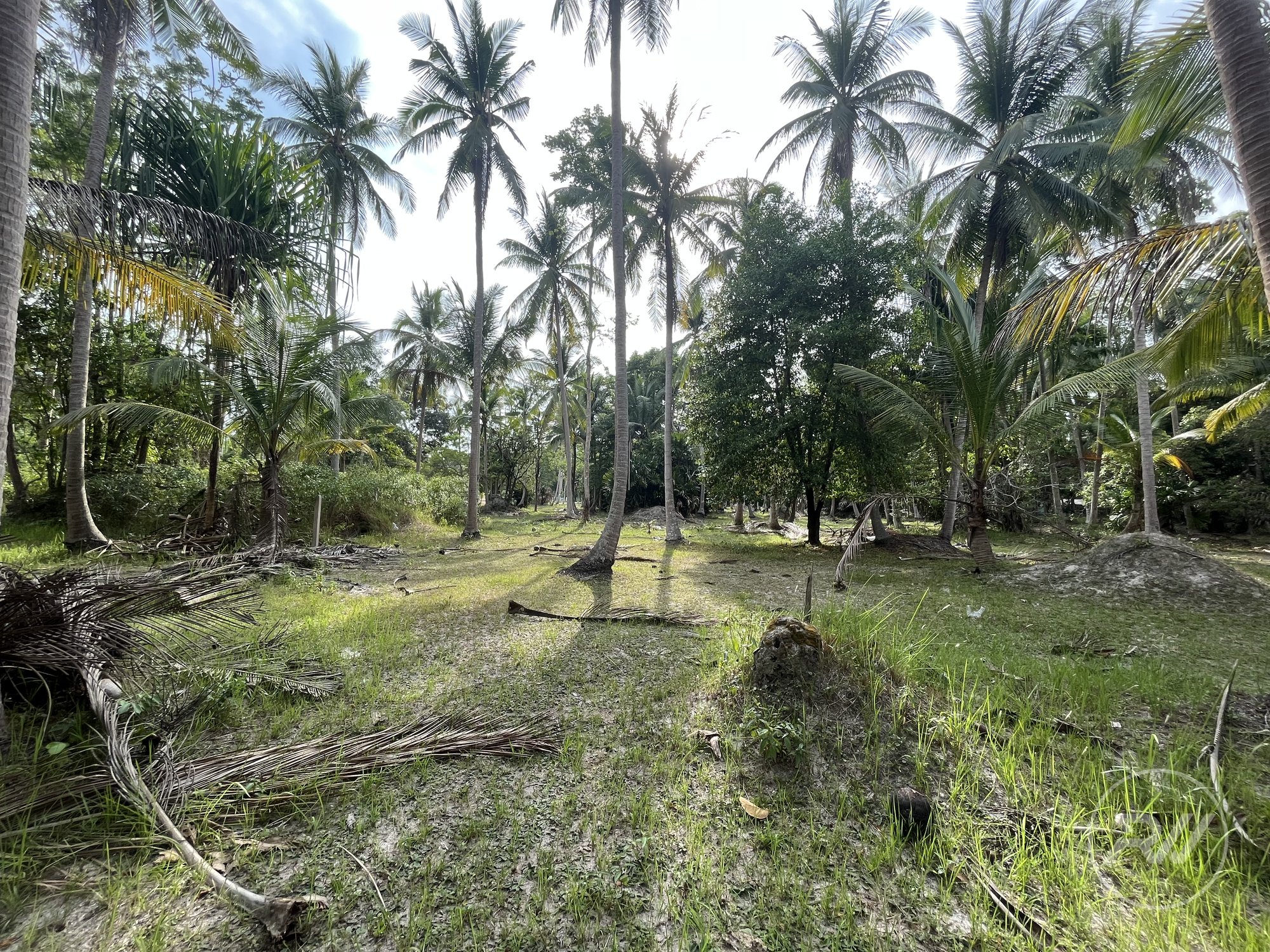 Land plot on Koh Phangan (RW-L0050) — photo 3