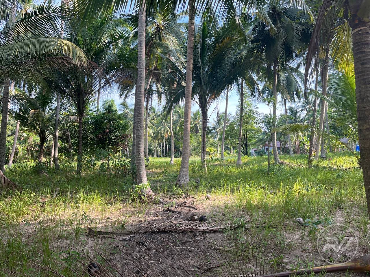 Land plot on Koh Phangan