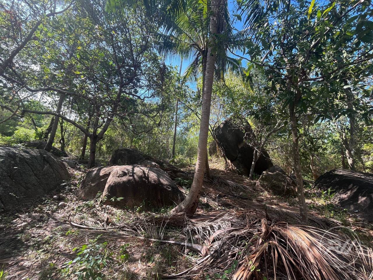 Land plot on Koh Phangan