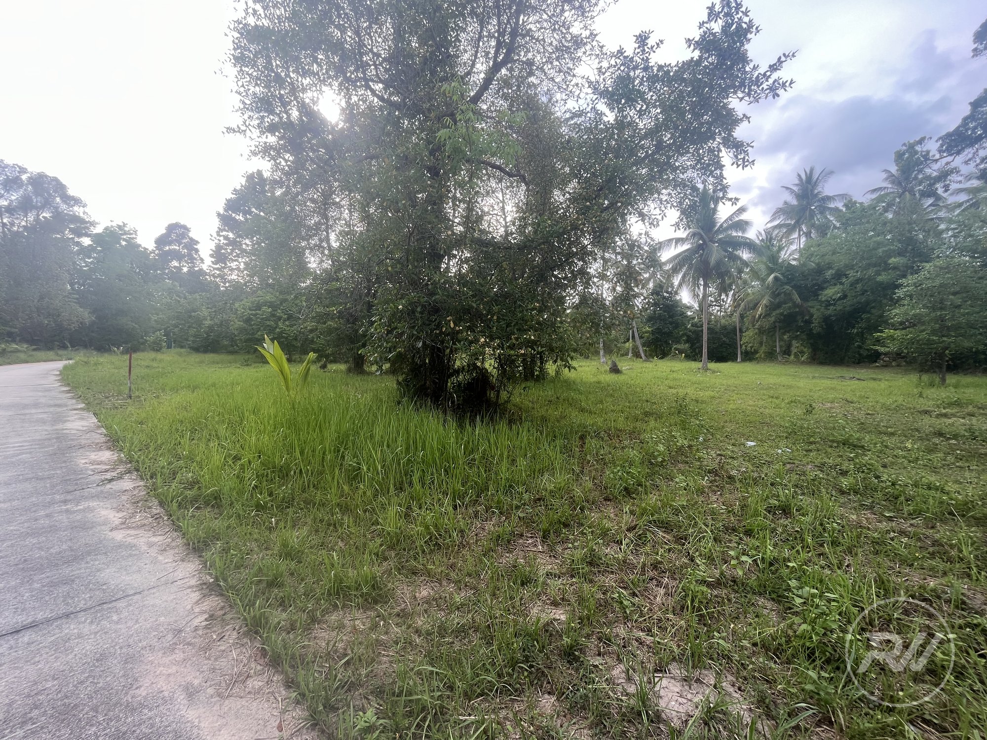 Land plot on Koh Phangan