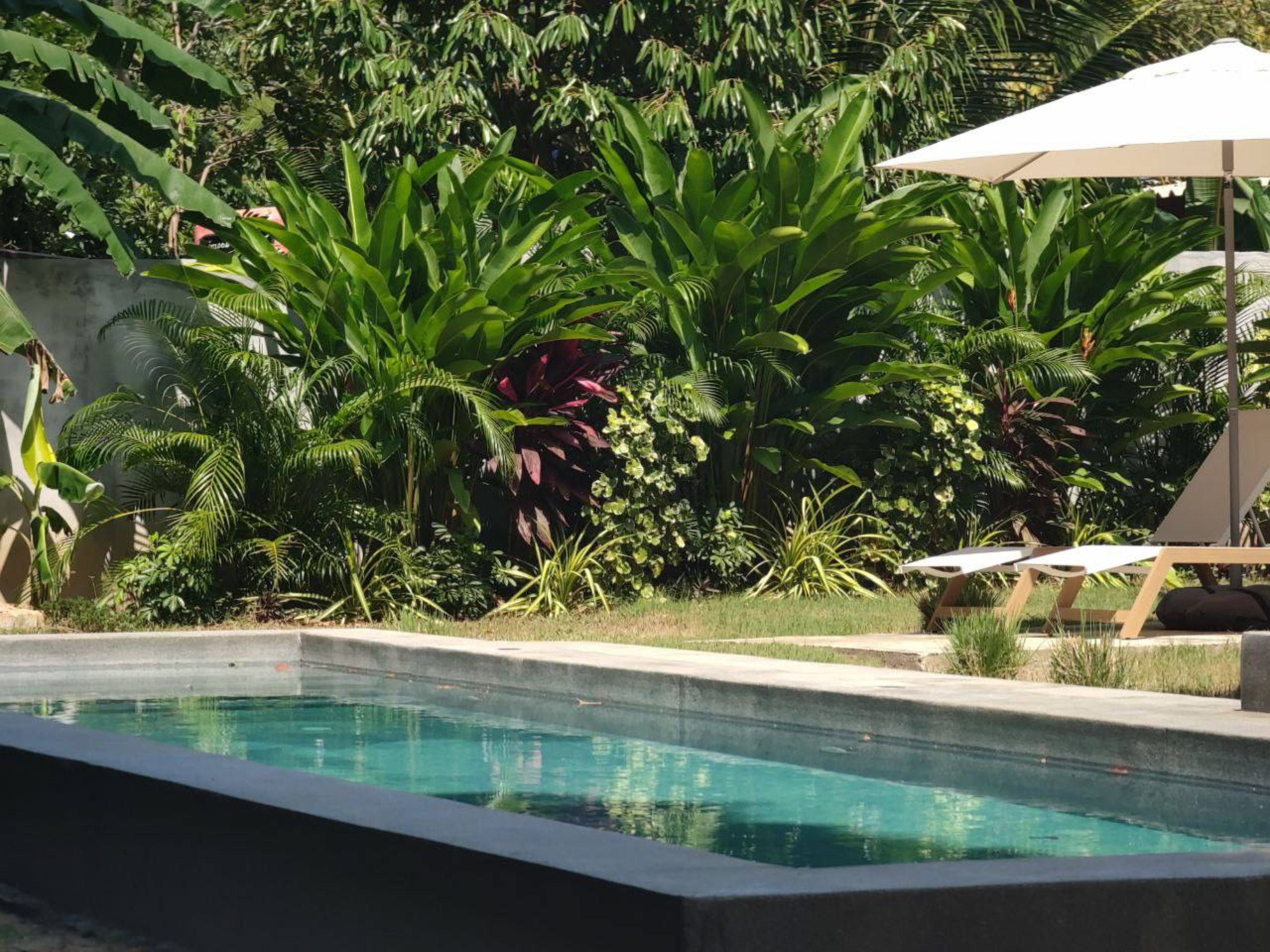 The Concrete Sanctuary — Architect-Designed Jungle Villa in Ban Nai Suan (RW-V0001) — photo 5