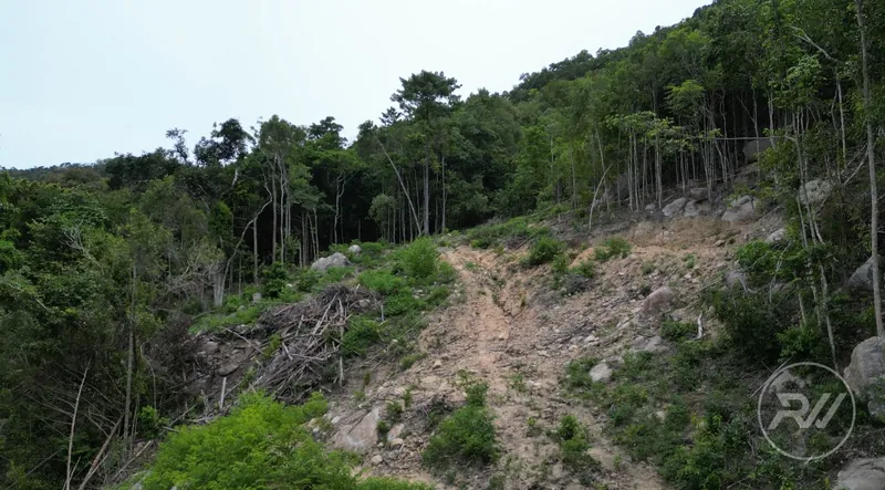 Land plot perfectly suited for a resort (RW-0514) — photo 3