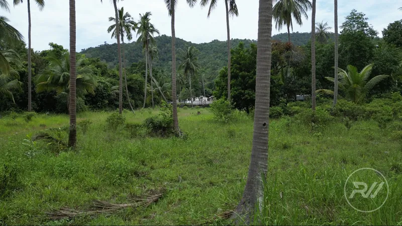 Easy-to-build plot of land in a quiet neighbourhood (RW-0515) — photo 2