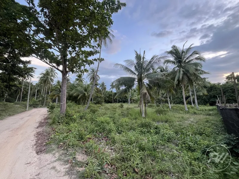 Easy-to-build plot of land in a quiet neighbourhood (RW-0515) — photo 4