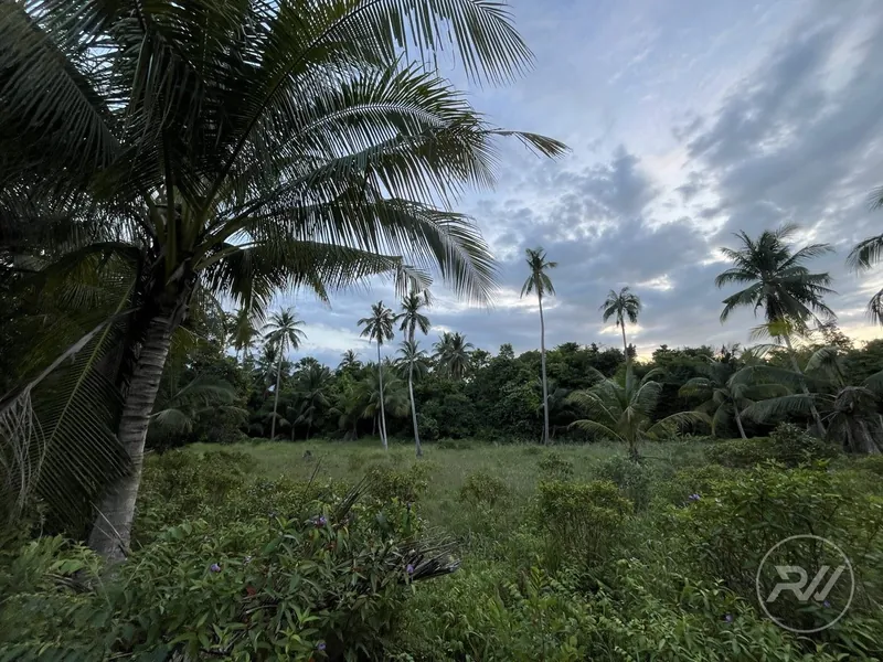 Easy-to-build plot of land in a quiet neighbourhood (RW-0515) — photo 5