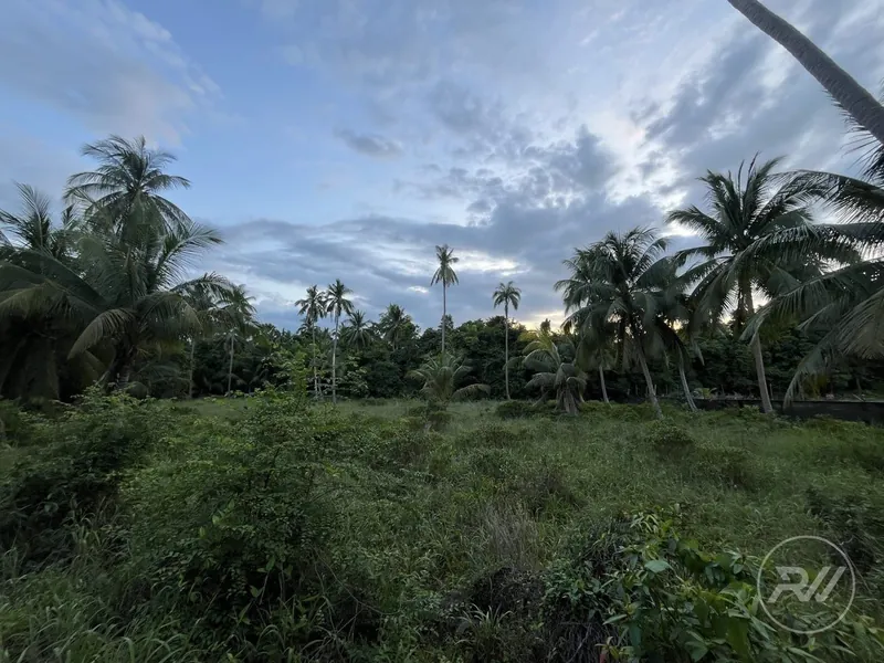 Easy-to-build plot of land in a quiet neighbourhood (RW-0515) — photo 8