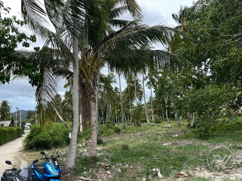 The first coastline plot of land is ideal for building a resort (RW-0516) — photo 7