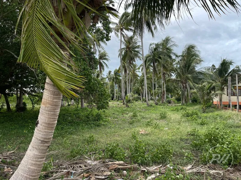 The first coastline plot of land is ideal for building a resort (RW-0516) — photo 11