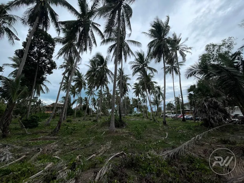 The first coastline plot of land is ideal for building a resort (RW-0516) — photo 13