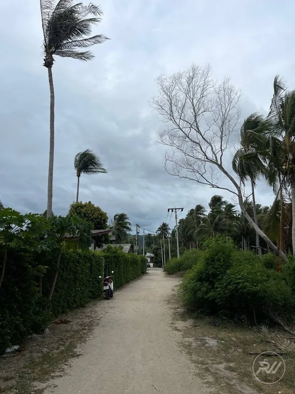 The first coastline plot of land is ideal for building a resort (RW-0516) — photo 15