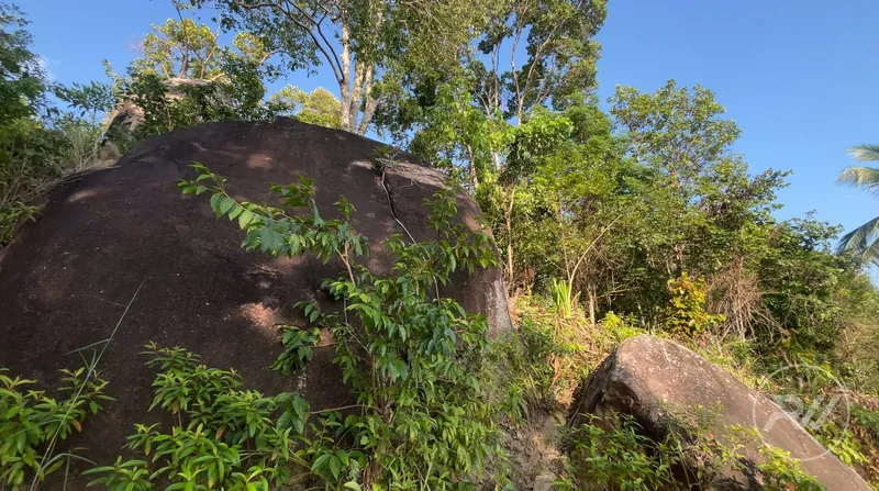 Stunning plot of land with views of the sunset and mountains (RW-0519) — photo 3