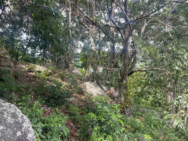 Stunning plot of land with views of the sunset and mountains (RW-0519) — photo 5