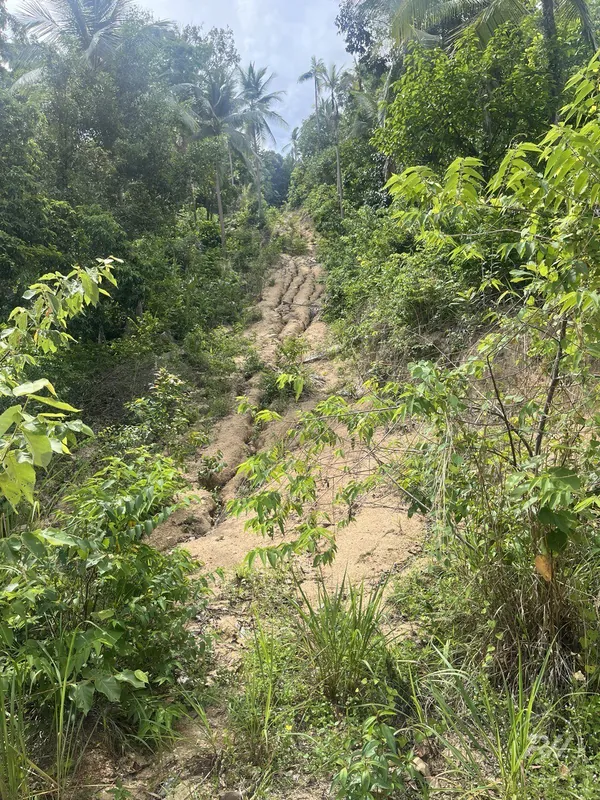 Stunning plot of land with views of the sunset and mountains (RW-0519) — photo 6