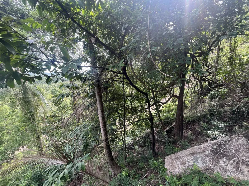 Stunning plot of land with views of the sunset and mountains (RW-0519) — photo 7