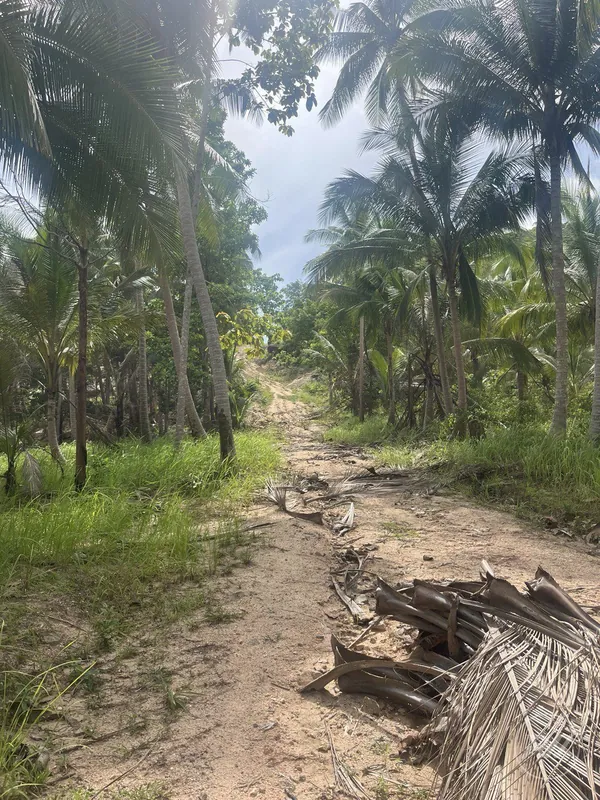 Stunning plot of land with views of the sunset and mountains (RW-0519) — photo 8
