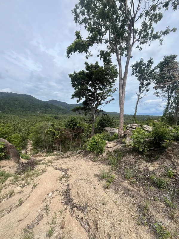 Stunning plot of land with views of the sunset and mountains (RW-0519) — photo 10