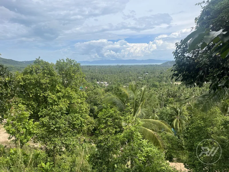Stunning plot of land with views of the sunset and mountains (RW-0519) — photo 11