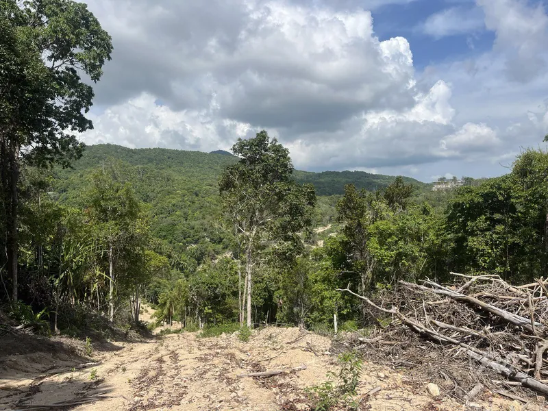 A very attractive plot of land with great commercial potential