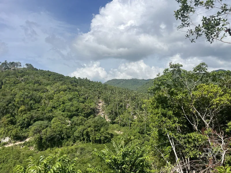 A very attractive plot of land with great commercial potential (RW-0520) — photo 2